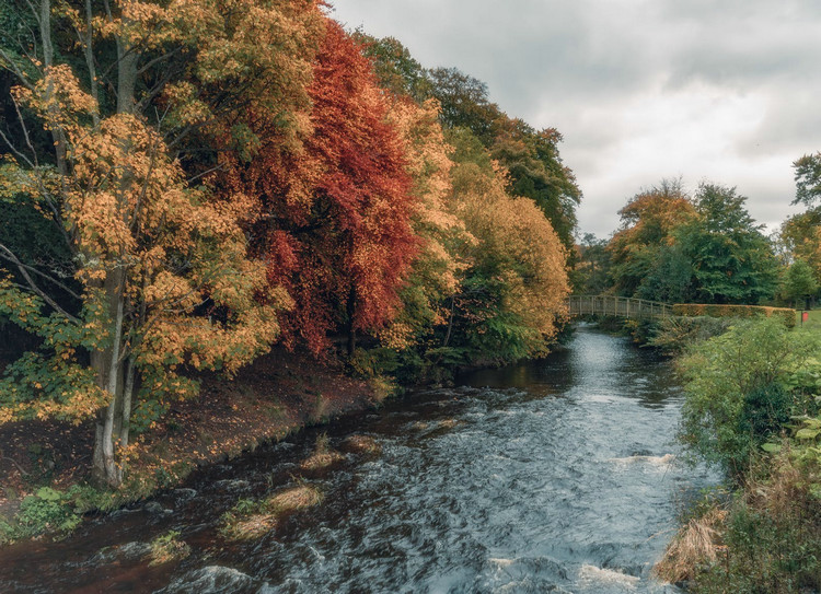 氨氮的超標(biāo)原因 氨氮的超標(biāo)原因