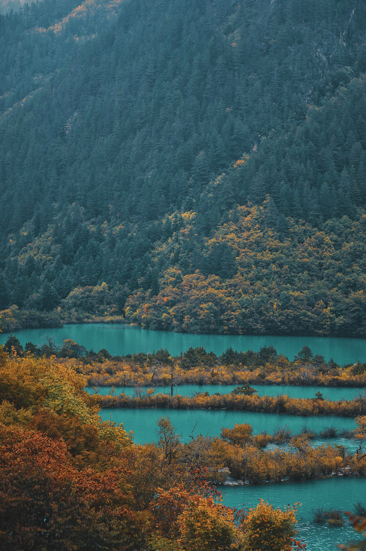 在線溶氧檢測儀對水產(chǎn)養(yǎng)殖業(yè)發(fā)展有什么影響 在線溶氧檢測儀對水產(chǎn)養(yǎng)殖業(yè)發(fā)展有什么影響