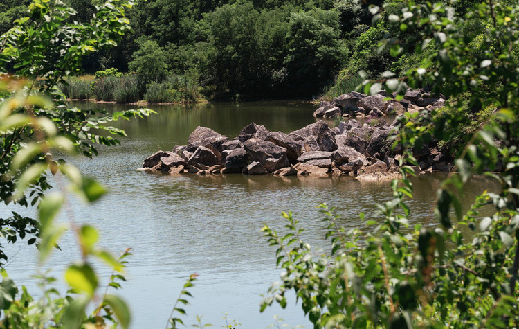 二沉池出現浮泥怎么辦 二沉池出現浮泥怎么辦