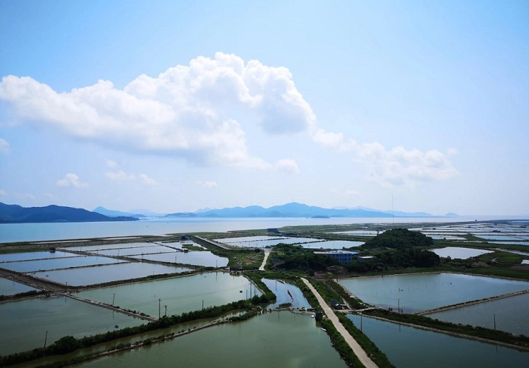 1679721153800790.jpg 池塘養殖.jpg