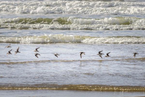 水質檢測儀器準確性.jpg 水質檢測儀器準確性.jpg